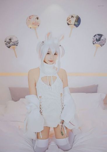噼里啪啦免费高清看