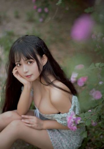 前夫求爱记 电视剧