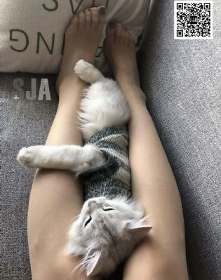 波多野结衣之家庭教师