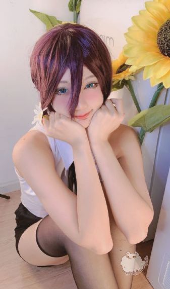 茶杯孤cupfox