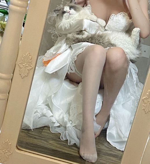 公交车小说