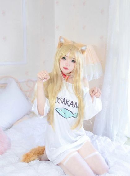 八犬传