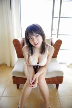 森林里的熊冬眠中