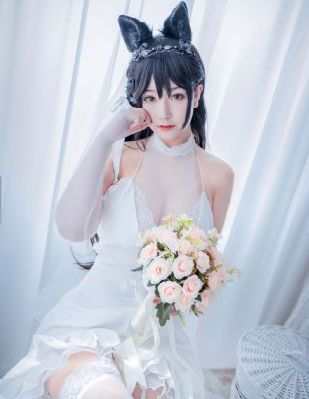 沧元图樱花动漫在线观看