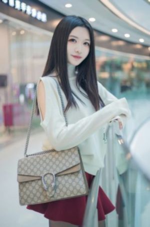 南来北往