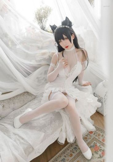 绿椅子在线
