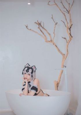 超级翁婿 电视剧